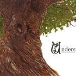 Understory - Cover