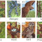 Woodland Alphabet, I-P